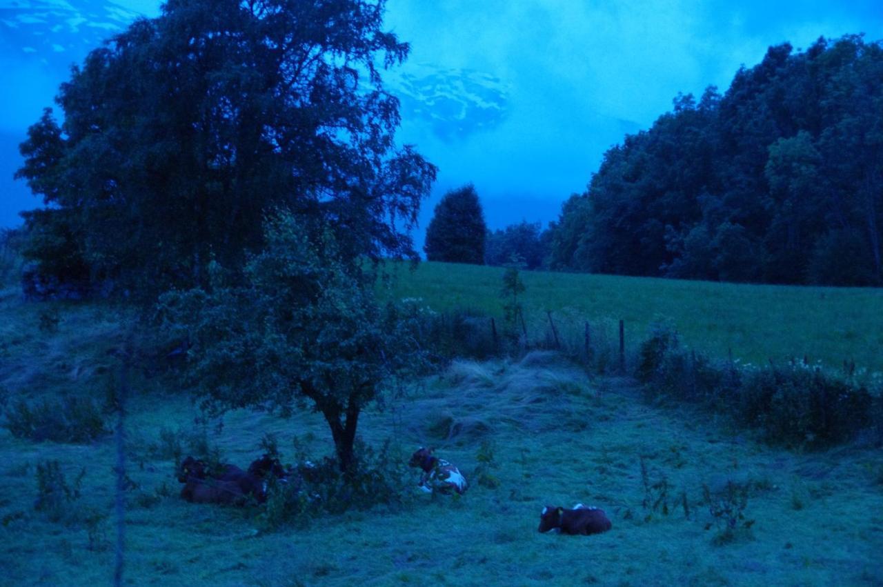 Orheimstunet - Gardsferie For Storfamilien Der Ogsa Hunden Er Velkommen Starheim Zewnętrze zdjęcie
